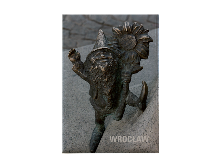 MAGNES WROCŁAW - ŻYCZLIWEK