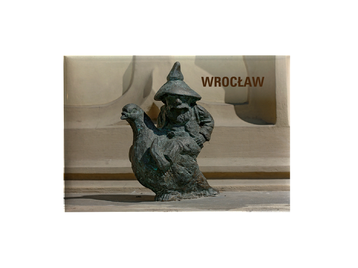 MAGNES WROCŁAW - GOŁĘBNIK