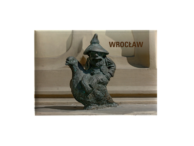MAGNES WROCŁAW - GOŁĘBNIK